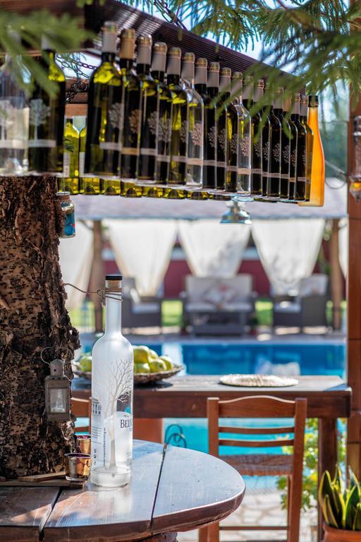 Villa Elea Lithakia  エクステリア 写真